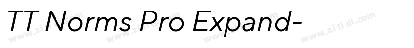 TT Norms Pro Expand字体转换 TT Norms Pro Expand字体转换